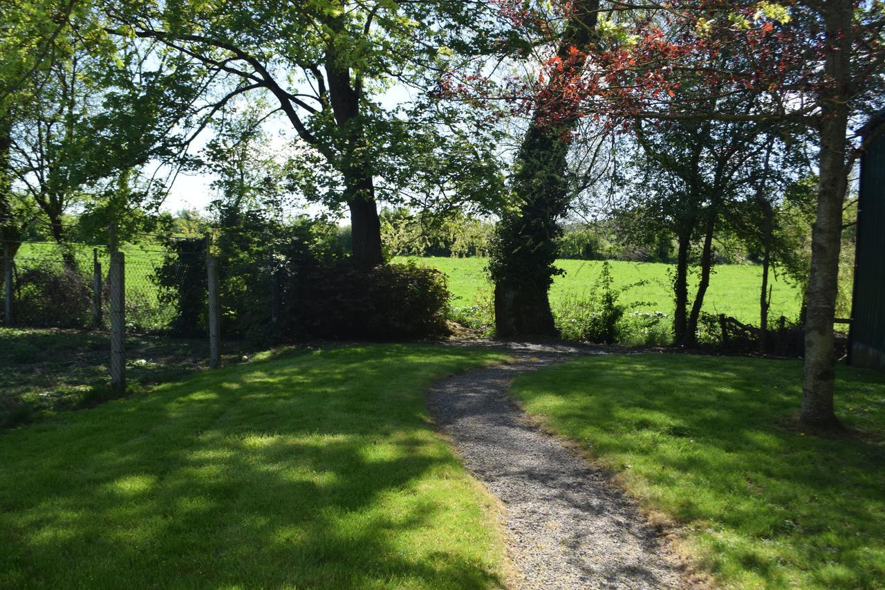 Orchard Grove Bed & Breakfast R21Rc58 Bagenalstown Exterior foto